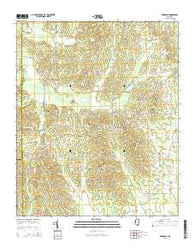 Randolph Mississippi Current topographic map, 1:24000 scale, 7.5 X 7.5 Minute, Year 2015