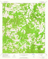 Red Lick Mississippi Historical topographic map, 1:24000 scale, 7.5 X 7.5 Minute, Year 1963