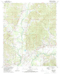 Renfroe Mississippi Historical topographic map, 1:24000 scale, 7.5 X 7.5 Minute, Year 1989