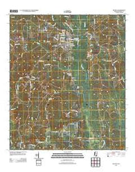 Richton Mississippi Historical topographic map, 1:24000 scale, 7.5 X 7.5 Minute, Year 2012