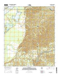 Rodney Mississippi Current topographic map, 1:24000 scale, 7.5 X 7.5 Minute, Year 2015
