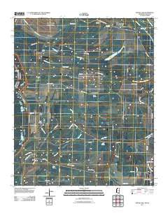 Round Lake Mississippi Historical topographic map, 1:24000 scale, 7.5 X 7.5 Minute, Year 2011
