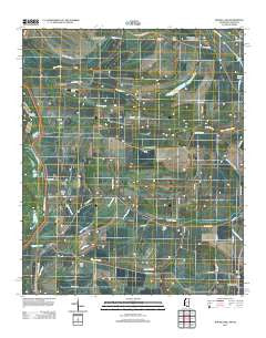 Round Lake Mississippi Historical topographic map, 1:24000 scale, 7.5 X 7.5 Minute, Year 2012