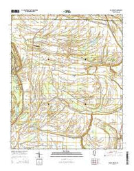 Round Lake Mississippi Current topographic map, 1:24000 scale, 7.5 X 7.5 Minute, Year 2015