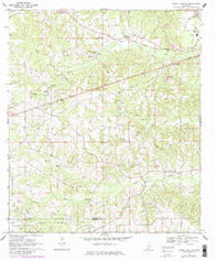 Sandy Hook NW Mississippi Historical topographic map, 1:24000 scale, 7.5 X 7.5 Minute, Year 1970