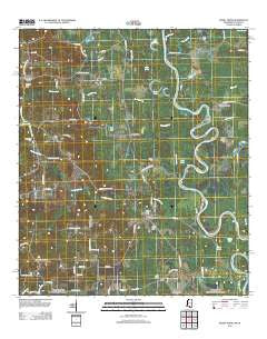 Sandy Hook Mississippi Historical topographic map, 1:24000 scale, 7.5 X 7.5 Minute, Year 2012