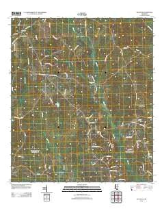 Savannah Mississippi Historical topographic map, 1:24000 scale, 7.5 X 7.5 Minute, Year 2012