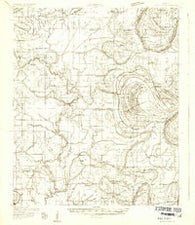 Schlater Mississippi Historical topographic map, 1:48000 scale, 15 X 15 Minute, Year 1931