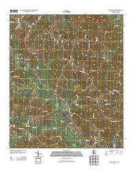 Shady Grove Mississippi Historical topographic map, 1:24000 scale, 7.5 X 7.5 Minute, Year 2012
