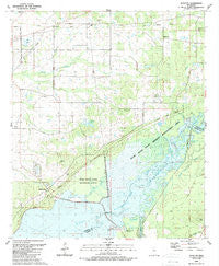 Shoccoe Mississippi Historical topographic map, 1:24000 scale, 7.5 X 7.5 Minute, Year 1989