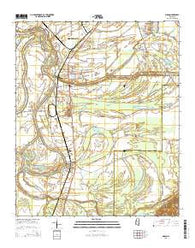 Sidon Mississippi Current topographic map, 1:24000 scale, 7.5 X 7.5 Minute, Year 2015