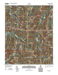 Slayden Mississippi Historical topographic map, 1:24000 scale, 7.5 X 7.5 Minute, Year 2010