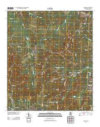 Smyrna Mississippi Historical topographic map, 1:24000 scale, 7.5 X 7.5 Minute, Year 2012