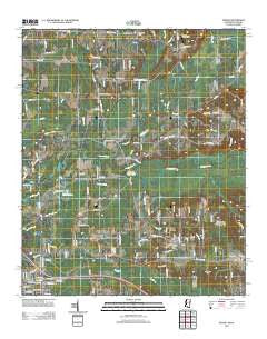 Steens Mississippi Historical topographic map, 1:24000 scale, 7.5 X 7.5 Minute, Year 2012