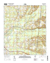 Steens Mississippi Current topographic map, 1:24000 scale, 7.5 X 7.5 Minute, Year 2015