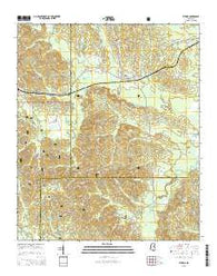 Sturgis Mississippi Current topographic map, 1:24000 scale, 7.5 X 7.5 Minute, Year 2015