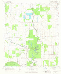 Swan Lake NW Mississippi Historical topographic map, 1:24000 scale, 7.5 X 7.5 Minute, Year 1967