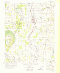 Swan Lake Mississippi Historical topographic map, 1:62500 scale, 15 X 15 Minute, Year 1969