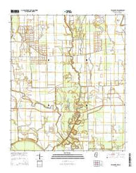 Swan Lake NW Mississippi Current topographic map, 1:24000 scale, 7.5 X 7.5 Minute, Year 2015
