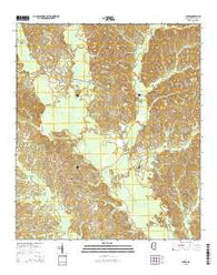 Sykes Mississippi Current topographic map, 1:24000 scale, 7.5 X 7.5 Minute, Year 2015