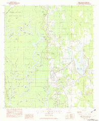 Three Rivers Mississippi Historical topographic map, 1:24000 scale, 7.5 X 7.5 Minute, Year 1982