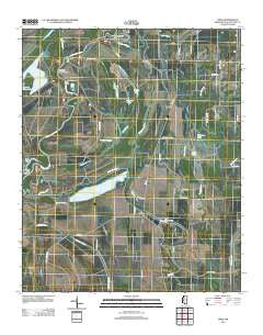 Tippo Mississippi Historical topographic map, 1:24000 scale, 7.5 X 7.5 Minute, Year 2012