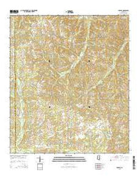 Topeka Mississippi Current topographic map, 1:24000 scale, 7.5 X 7.5 Minute, Year 2015