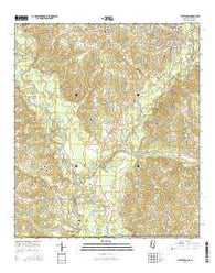 Tylertown Mississippi Current topographic map, 1:24000 scale, 7.5 X 7.5 Minute, Year 2015