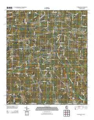 Tylertown SE Mississippi Historical topographic map, 1:24000 scale, 7.5 X 7.5 Minute, Year 2012
