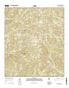 Tylertown SE Mississippi Current topographic map, 1:24000 scale, 7.5 X 7.5 Minute, Year 2015