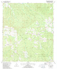 Union Church Mississippi Historical topographic map, 1:24000 scale, 7.5 X 7.5 Minute, Year 1988
