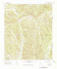 Union Church Mississippi Historical topographic map, 1:62500 scale, 15 X 15 Minute, Year 1963