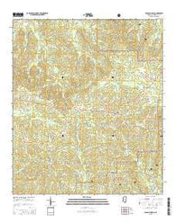 Union Church Mississippi Current topographic map, 1:24000 scale, 7.5 X 7.5 Minute, Year 2015