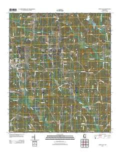 Union East Mississippi Historical topographic map, 1:24000 scale, 7.5 X 7.5 Minute, Year 2012