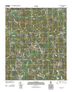 Union West Mississippi Historical topographic map, 1:24000 scale, 7.5 X 7.5 Minute, Year 2012