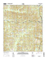 Union West Mississippi Current topographic map, 1:24000 scale, 7.5 X 7.5 Minute, Year 2015