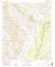 Vaughan Mississippi Historical topographic map, 1:24000 scale, 7.5 X 7.5 Minute, Year 1964