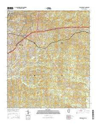 Vicksburg East Mississippi Current topographic map, 1:24000 scale, 7.5 X 7.5 Minute, Year 2015