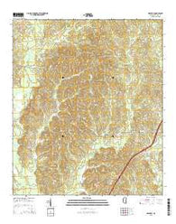 Waldrup Mississippi Current topographic map, 1:24000 scale, 7.5 X 7.5 Minute, Year 2015