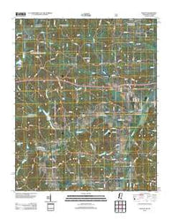Walnut Mississippi Historical topographic map, 1:24000 scale, 7.5 X 7.5 Minute, Year 2012