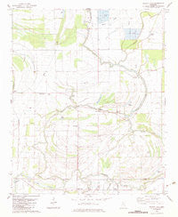 Walnut Lake Mississippi Historical topographic map, 1:24000 scale, 7.5 X 7.5 Minute, Year 1982