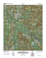 Walnut Grove Mississippi Historical topographic map, 1:24000 scale, 7.5 X 7.5 Minute, Year 2012