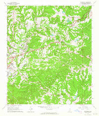 Washington Mississippi Historical topographic map, 1:24000 scale, 7.5 X 7.5 Minute, Year 1963