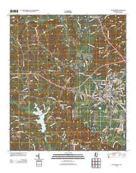 Waynesboro Mississippi Historical topographic map, 1:24000 scale, 7.5 X 7.5 Minute, Year 2012