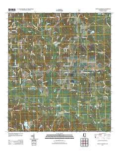 Whites Crossing Mississippi Historical topographic map, 1:24000 scale, 7.5 X 7.5 Minute, Year 2012