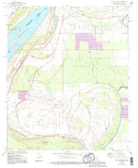 Whiting Bayou Mississippi Historical topographic map, 1:24000 scale, 7.5 X 7.5 Minute, Year 1994