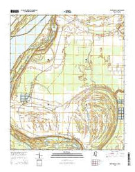 Whiting Bayou Mississippi Current topographic map, 1:24000 scale, 7.5 X 7.5 Minute, Year 2015