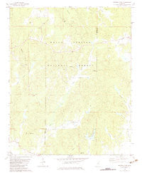 Whitten Town Mississippi Historical topographic map, 1:24000 scale, 7.5 X 7.5 Minute, Year 1982