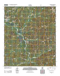 Wilkinson Mississippi Historical topographic map, 1:24000 scale, 7.5 X 7.5 Minute, Year 2012