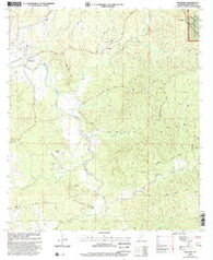 Wilkinson Mississippi Historical topographic map, 1:24000 scale, 7.5 X 7.5 Minute, Year 2000